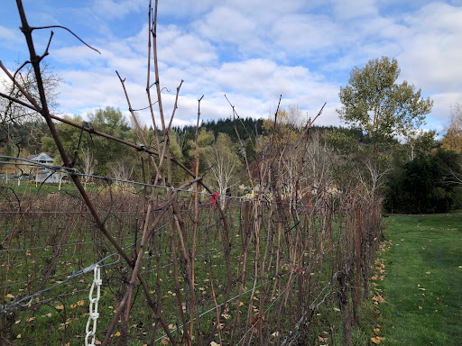 Vineyard «Keeler Estate Vineyard», reviews and photos, 5100 SE Rice Ln, Amity, OR 97101, USA