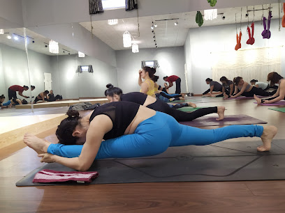Yoga By Master DO - Bảo Lộc