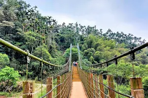 華山情人橋｜華山休閒農業區 image