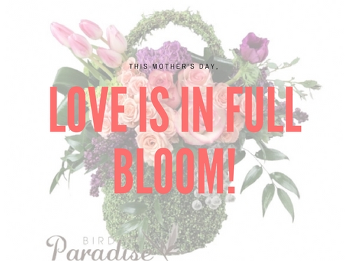 Florist «Bird of Paradise Couture Florals», reviews and photos, 17775 Main St m, Irvine, CA 92614, USA