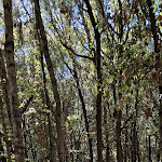 Photo n°5 de l'avis de Maria.r fait le 22/04/2024 à 21:44 sur le  Garden Toscana Resort à San Vincenzo