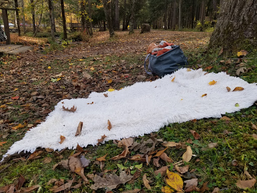 Gift Shop «Impressions of Saratoga», reviews and photos, 368 Broadway, Saratoga Springs, NY 12866, USA