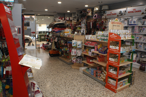 HuellaCanina.com - Castellón de la Plana