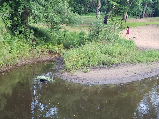 Park «Cambridge City Park», reviews and photos