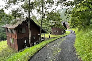ヒゴタイ公園キャンプ村 image