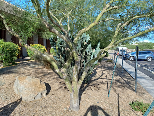 Christian Church «The Salvation Army Sun Cities Valley Corps», reviews and photos