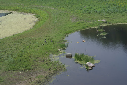 Zoo «Minnesota Zoo», reviews and photos, 13000 Zoo Blvd, Apple Valley, MN 55124, USA