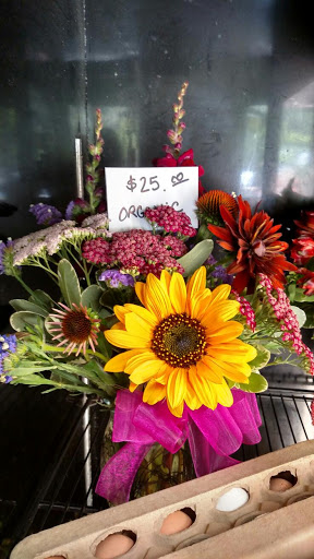Florist «Forever Yours Flowers & Gifts», reviews and photos, 10934 Combie Rd #116, Auburn, CA 95602, USA