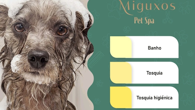 Miguxos Pet Spa