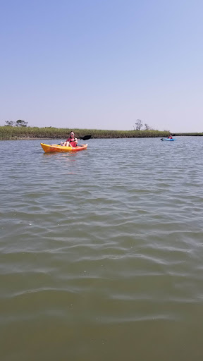 Tourist Attraction «Beach Access», reviews and photos, Alantic Ave, Pawleys Island, SC 29585, USA