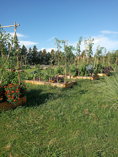 Huerta en Casa