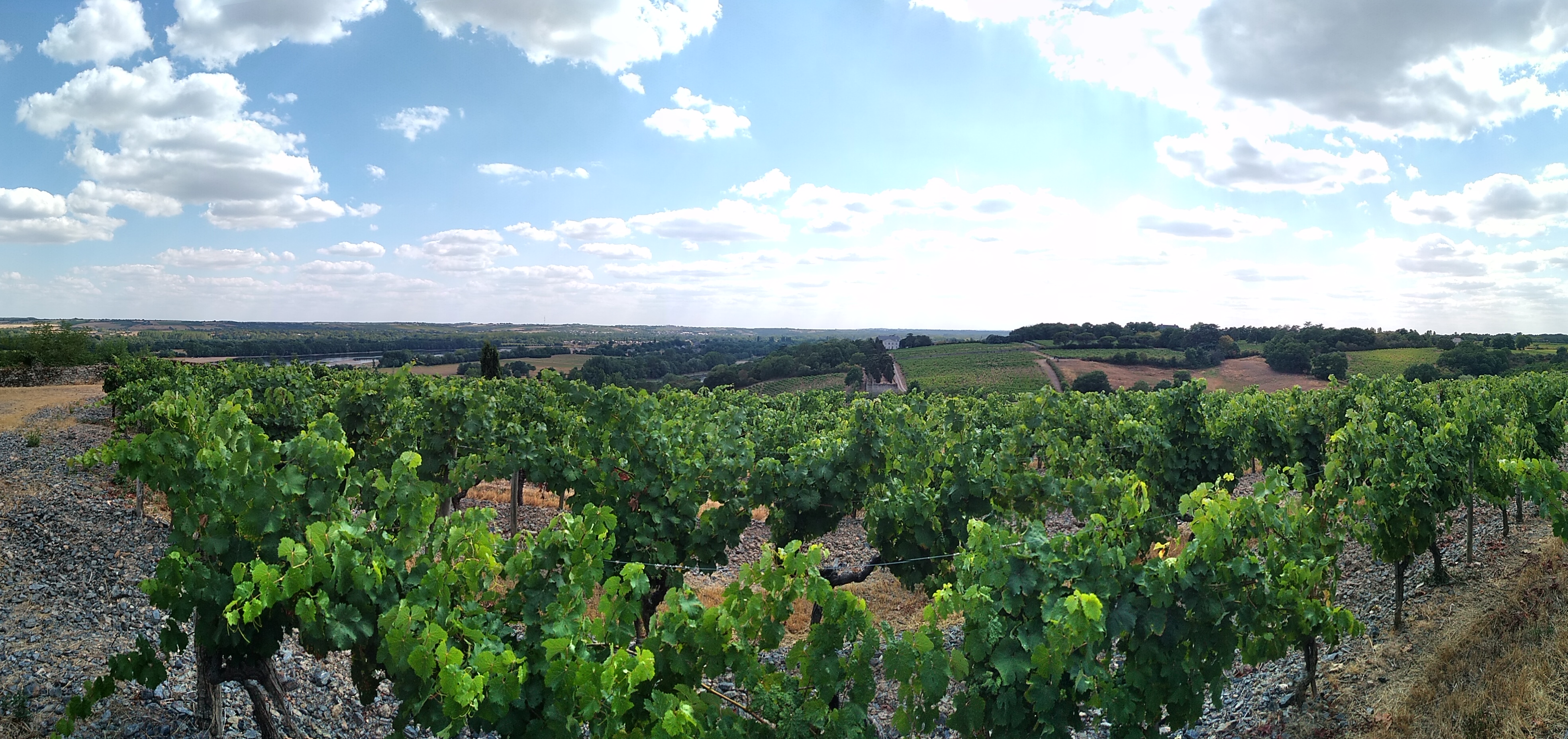 Photo n° 8 de l'avis de BllB. fait le 02/08/2019 à 20:13