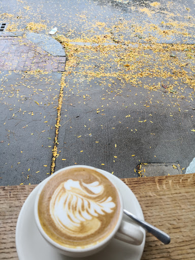 Coffee Shop «Curio Coffee», reviews and photos, 441 Cambridge St, Cambridge, MA 02141, USA