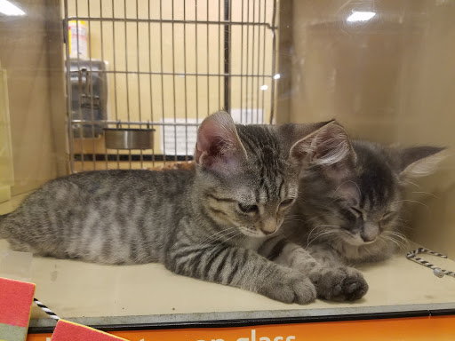 Pet Supply Store «PetSmart», reviews and photos, 11835 Retail Dr, Wake Forest, NC 27587, USA