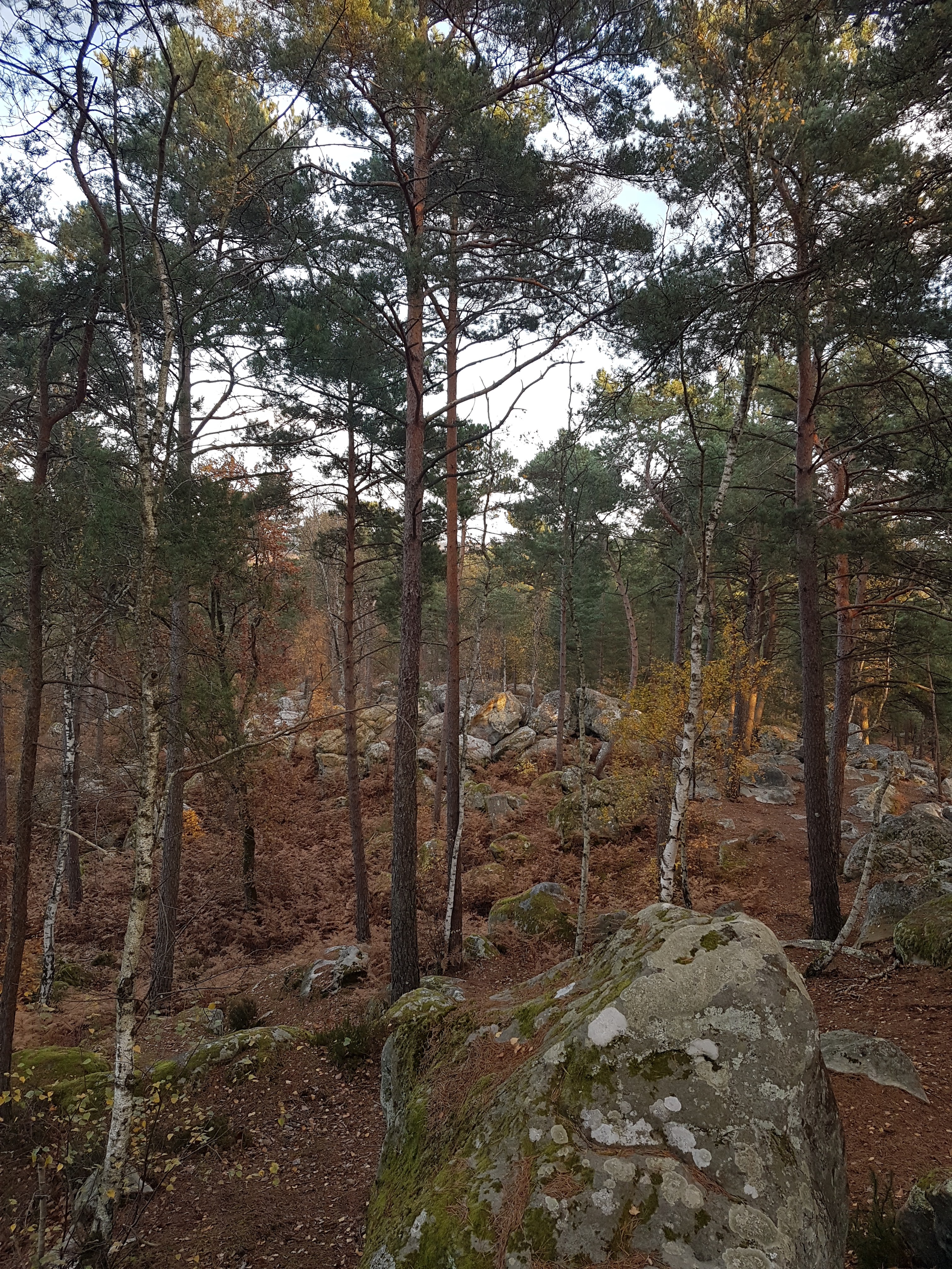 Photo n° 1 de l'avis de Denis.i fait le 26/11/2023 à 16:15
