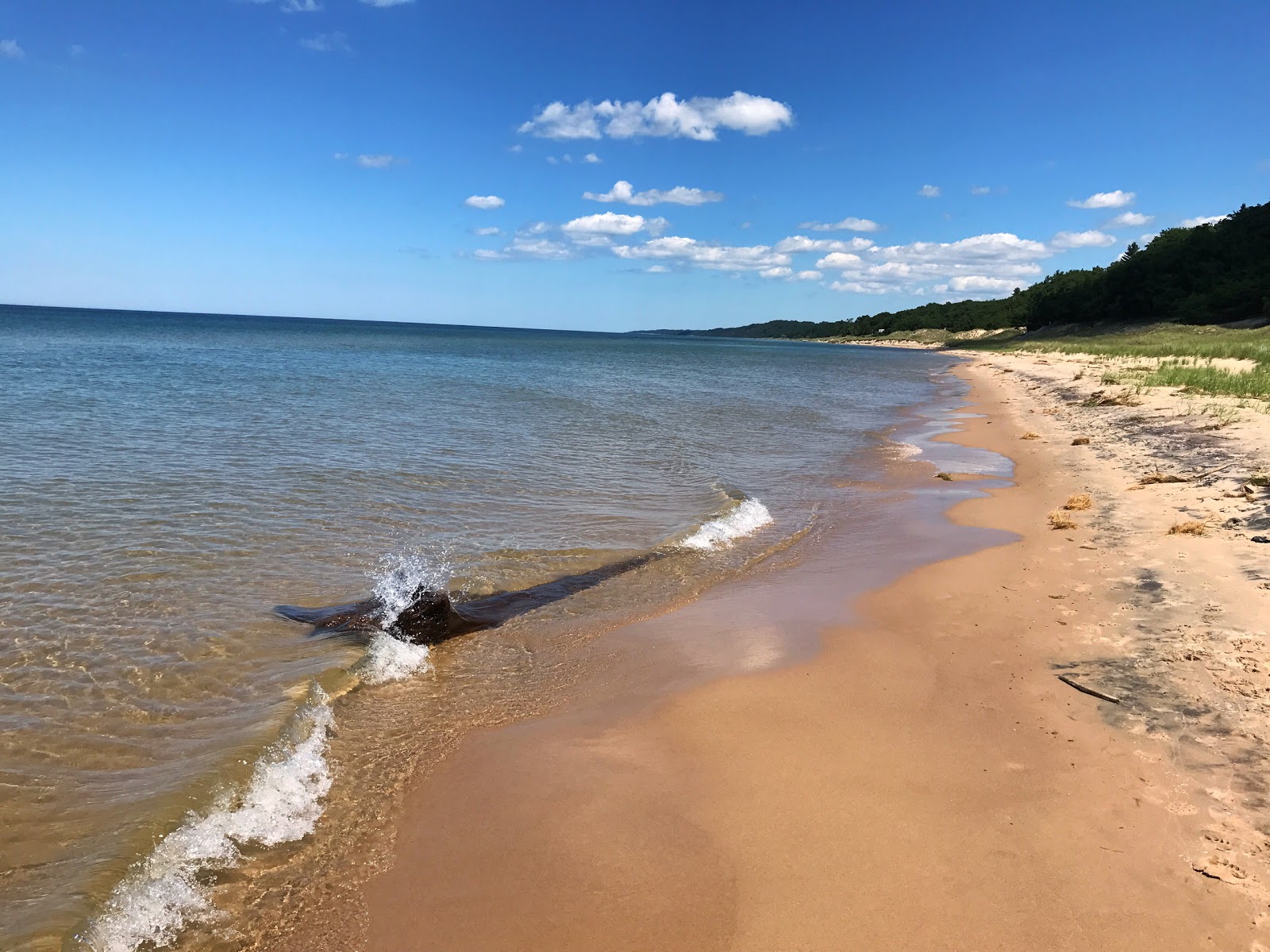 Photo de Meinert Park Beach - endroit populaire parmi les connaisseurs de la détente