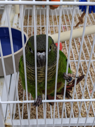 Pet Supply Store «Pet Supermarket», reviews and photos, 880 A1A N, Ponte Vedra Beach, FL 32082, USA