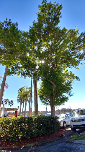 Department Store «Kmart», reviews and photos, 1602 W Brandon Blvd, Brandon, FL 33511, USA