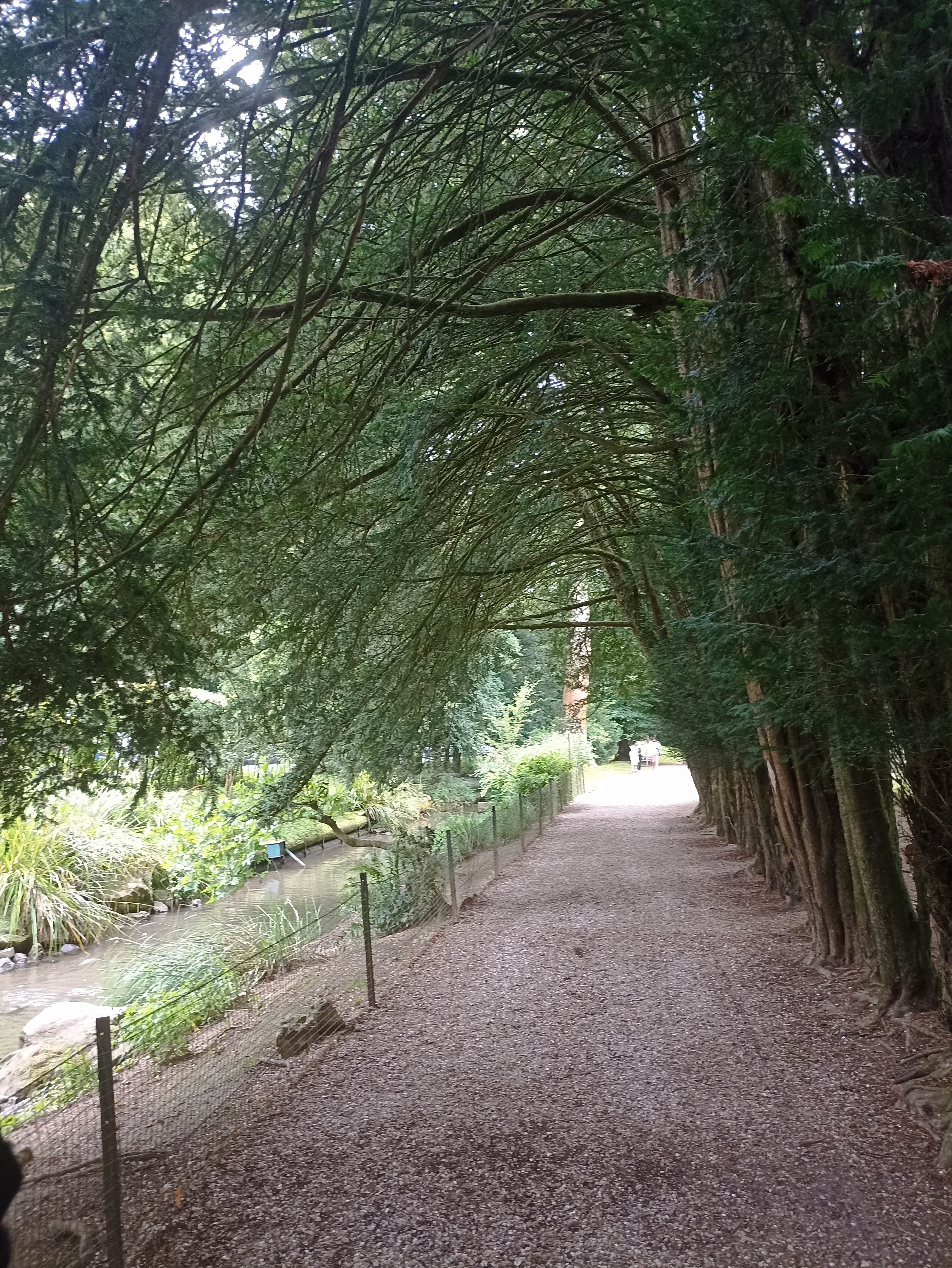 Photo n° 18 de l'avis de INGRID.. fait le 01/05/2023 à 21:03