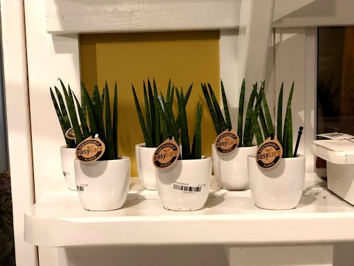 Plant Nursery «Potomac Petals and Plants», reviews and photos, 9545 River Rd, Rockville, MD 20854, USA