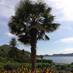 Photo n°6 de l'avis de Waltraud.e fait le 27/05/2019 à 05:01 sur le  IL Sole Di Ranco à Ranco