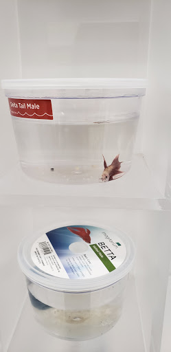 Pet Supply Store «Petco Animal Supplies», reviews and photos, 11398 Bandera Rd #403, San Antonio, TX 78250, USA