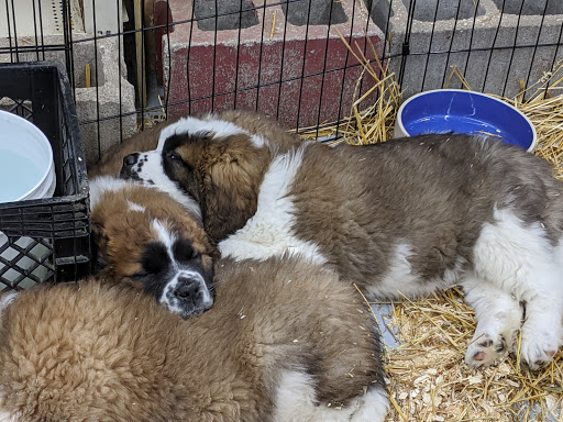 Pet Store «Teske Pet & Garden», reviews and photos, 2423 16th St, Moline, IL 61265, USA