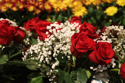 Grocery Store «Food Lion», reviews and photos, 377 W Jackson St, Cookeville, TN 38501, USA