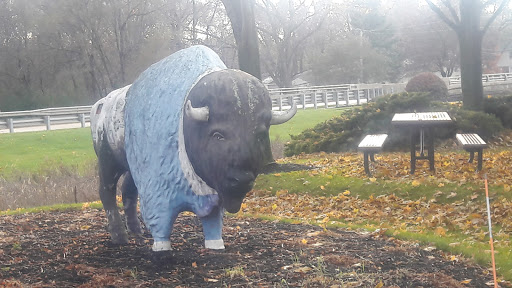 Golf Club «Buffalo Grove Golf Club», reviews and photos, 48 Raupp Blvd, Buffalo Grove, IL 60089, USA