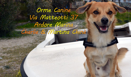 Pensioni per cani e dog hotel a Orme Canine