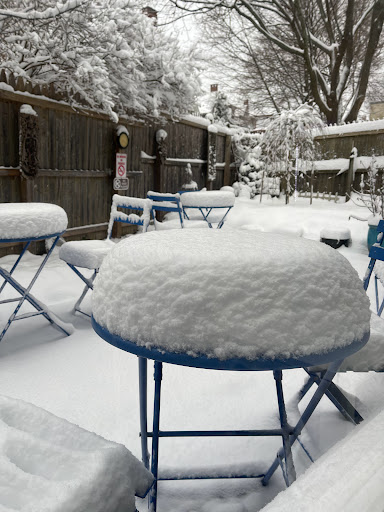 Coffee Shop «Yordprom Coffee Shop», reviews and photos, 722 Congress St, Portland, ME 04102, USA