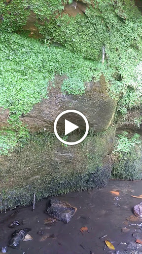 Nature Preserve «Princess Ledges Nature Preserve», reviews and photos, 4361 Spruce Ave, Brunswick, OH 44212, USA