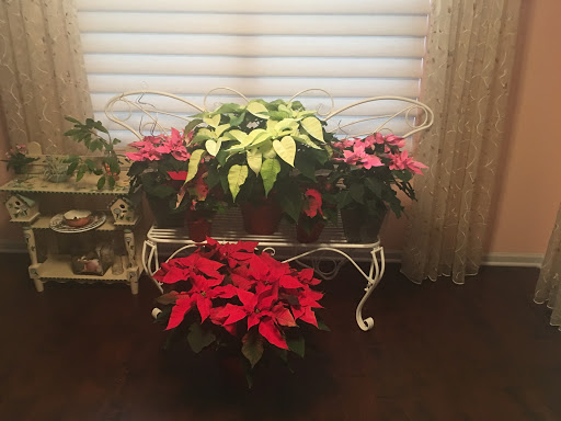 Florist «Larkin Floral & Gifts», reviews and photos, 230 N McLean Blvd, Elgin, IL 60123, USA