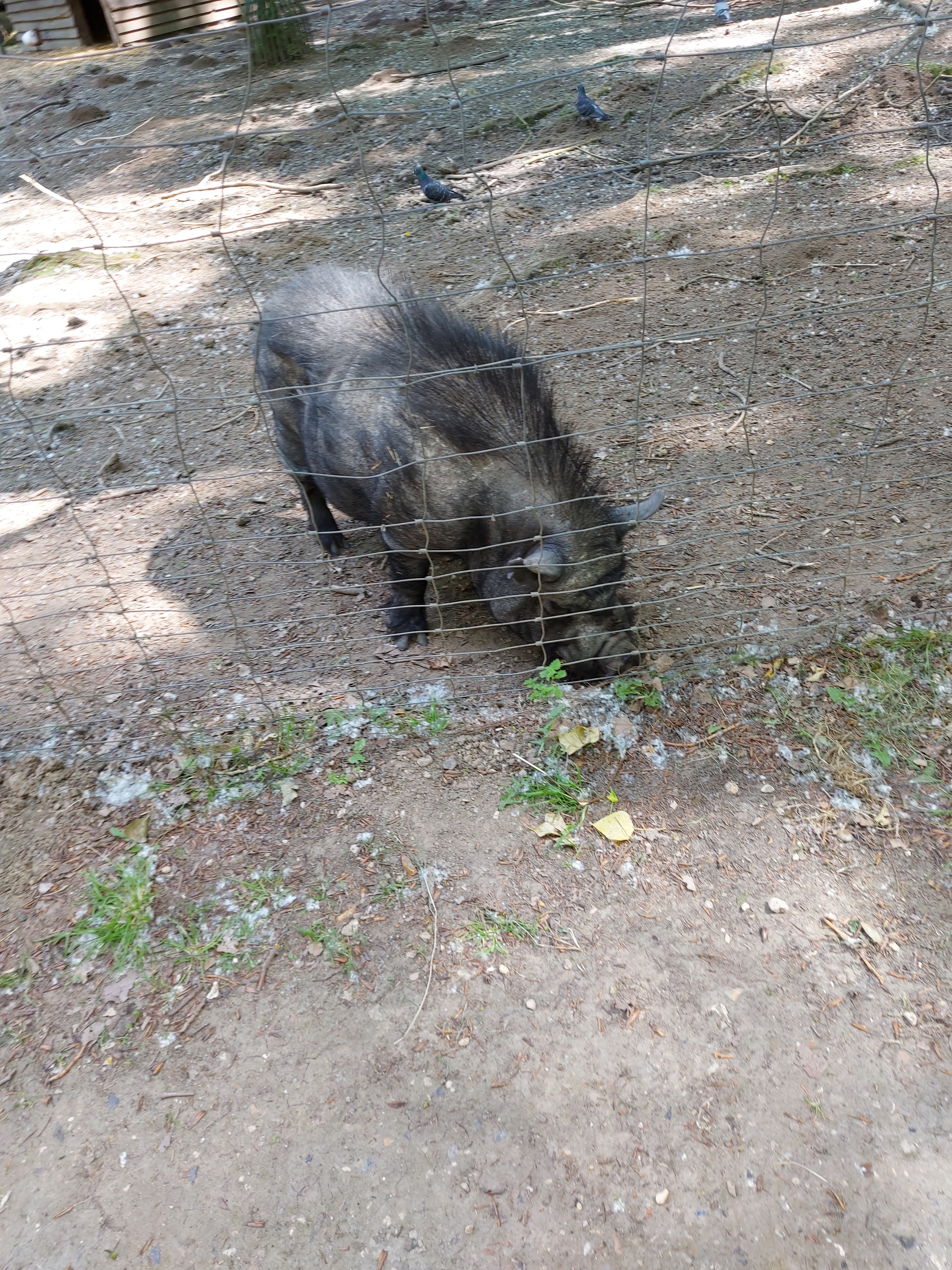 Photo n° 1 de l'avis de amandine.a fait le 21/05/2020 à 14:51