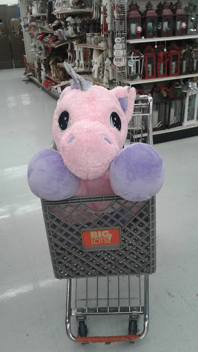 Discount Store «Big Lots», reviews and photos, 1515 Marvin Rd NE, Lacey, WA 98516, USA