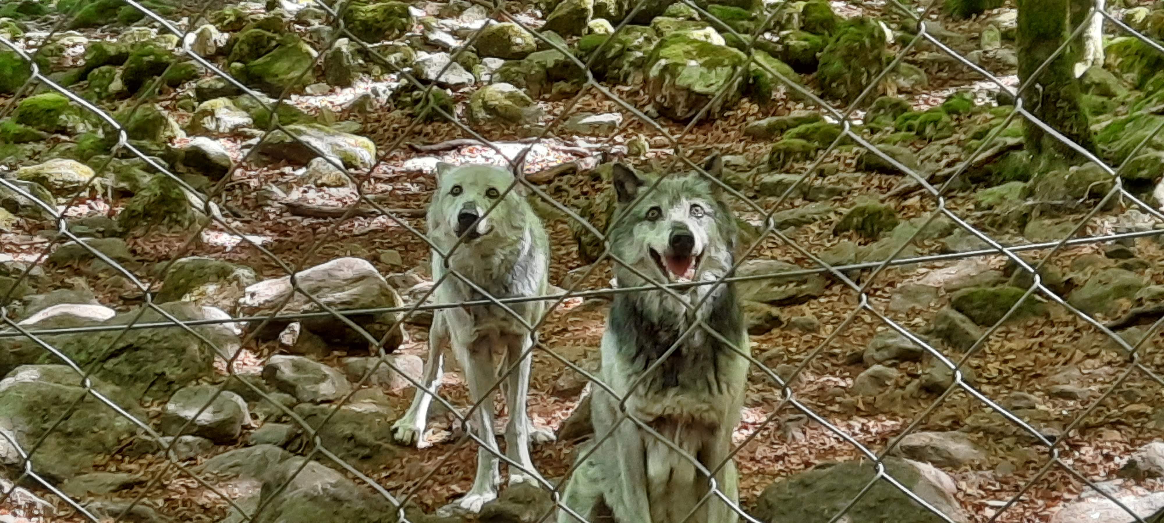 Photo n° 2 de l'avis de Patrice.e fait le 19/08/2020 à 16:26