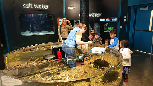 Nature Preserve «Meigs Point Nature Center», reviews and photos, 1288 Boston Post Rd, Madison, CT 06443, USA