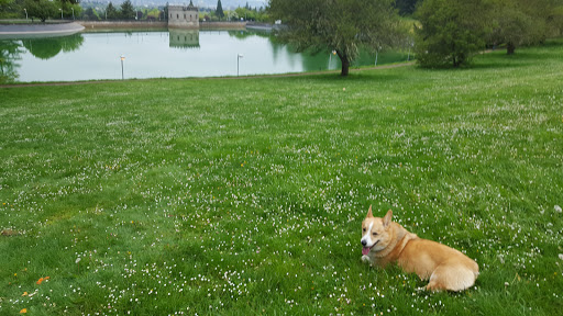 Park «Mt. Tabor Park», reviews and photos, SE Salmon St, Portland, OR 97215, USA