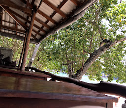 Big Fish Beach Restaurant photo