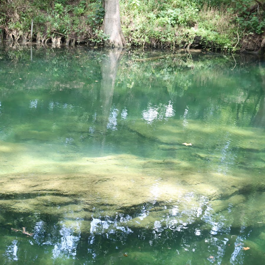 Cypress Creek Nature Preserve