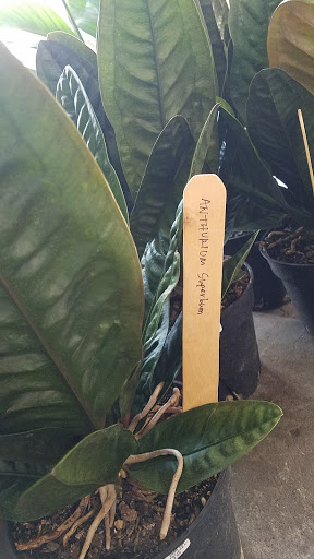 Shopping Mall «Fourth Street Shops», reviews and photos, 1834 Fourth St, Berkeley, CA 94710, USA