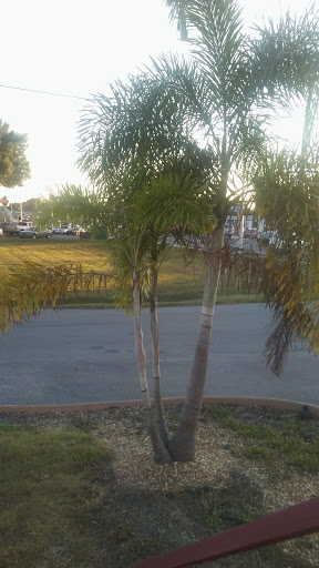 Auto Body Shop «Castillo Paint & Collision», reviews and photos, 516 N U.S. Hwy 41, Ruskin, FL 33570, USA