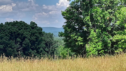 Guida Farm Conservation Area