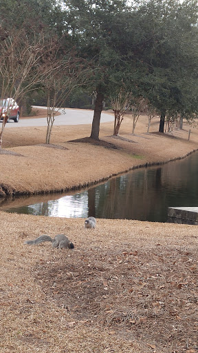 Golf Club «True Blue Golf Plantation», reviews and photos, 900 Blue Stem Dr, Pawleys Island, SC 29585, USA