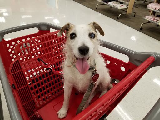 Department Store «Target», reviews and photos, 2300 Park Ave, Tustin, CA 92782, USA