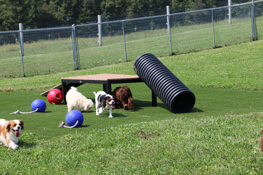 Pet Store «Furry Babies Inc», reviews and photos, 3340 Mall Loop Dr, Joliet, IL 60431, USA