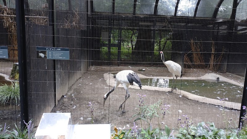 ハクチョウ舎(井の頭自然文化園)