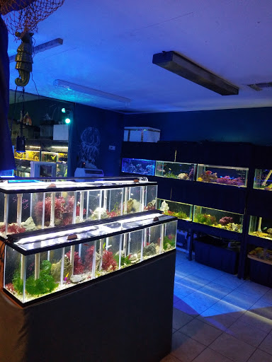 Pet Store «Fancy Tails Fish Farm», reviews and photos, 2324 US Hwy 27 S, Sebring, FL 33872, USA