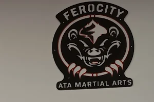 Ferocity ATA Martial Arts image