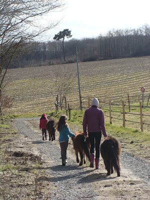 Petits chevaux et compagnie à Gennes-Val-de-Loire
